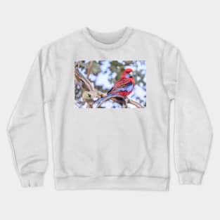 Crimson Rosella 03 Crewneck Sweatshirt